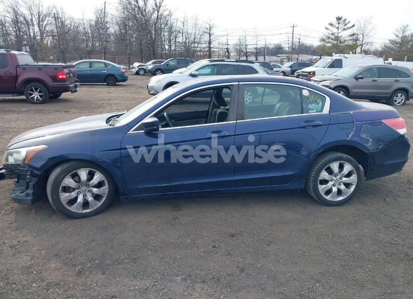 Photo 14 of 2010 Honda Accord 2.4 EX (VIN 1HGCP2F72AA176960)