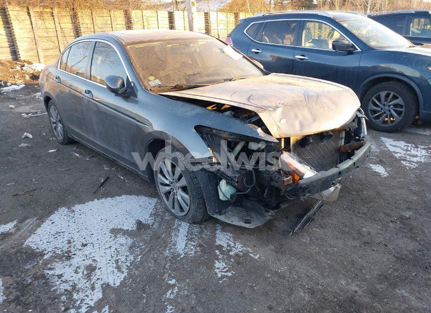 2011 Honda Accord 2.4 EX (VIN 1HGCP2F72BA023996) main photo
