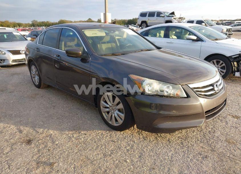 2011 Honda Accord 2.4 EX (VIN 1HGCP2F72BA026588) main photo