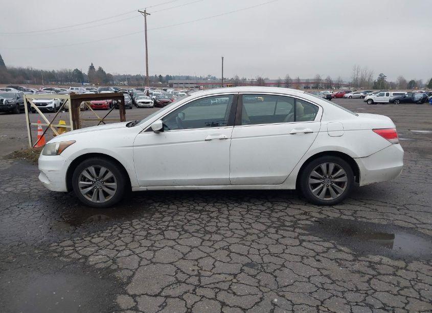 Photo 14 of 2011 Honda Accord 2.4 EX (VIN 1HGCP2F72BA127503)