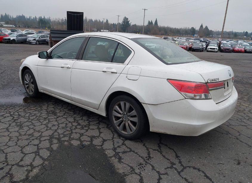 Photo 3 of 2011 Honda Accord 2.4 EX (VIN 1HGCP2F72BA127503)