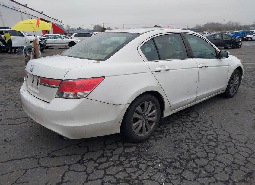 Photo 4 of 2011 Honda Accord 2.4 EX (VIN 1HGCP2F72BA127503)