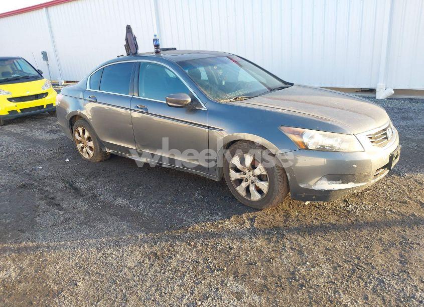 2010 Honda Accord 2.4 EX (VIN 1HGCP2F73AA049456) main photo