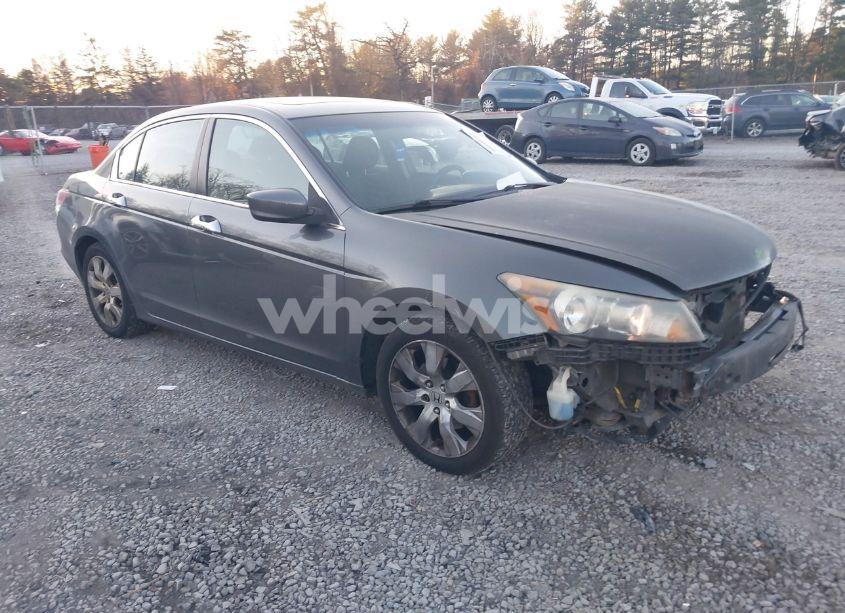 2010 Honda Accord 2.4 EX (VIN 1HGCP2F73AA114550) main photo