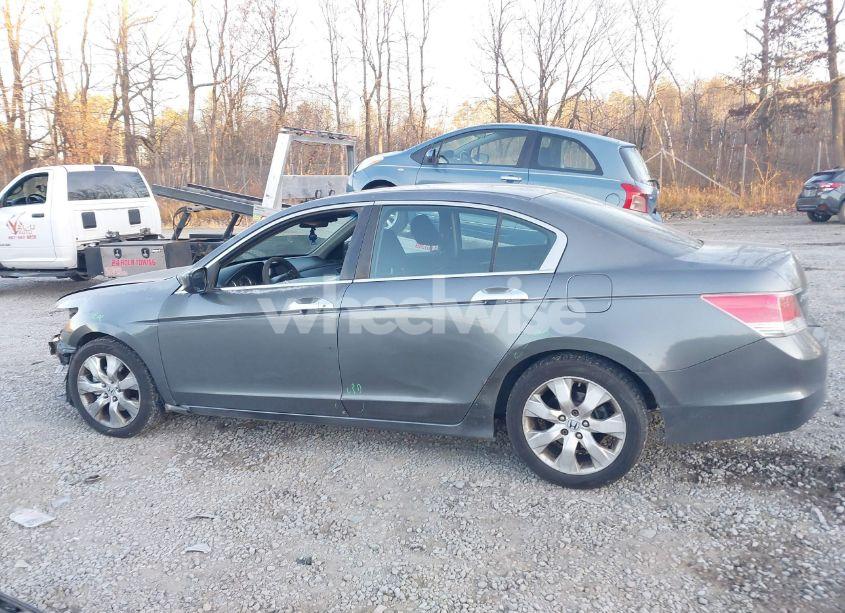 Photo 14 of 2010 Honda Accord 2.4 EX (VIN 1HGCP2F73AA114550)