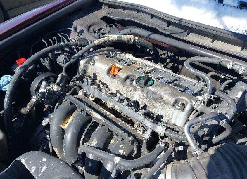 Photo 10 of 2010 Honda Accord 2.4 EX (VIN 1HGCP2F73AA140503)