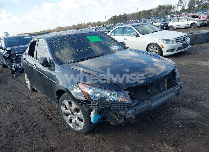 2010 Honda Accord 2.4 EX (VIN 1HGCP2F73AA141540) main photo