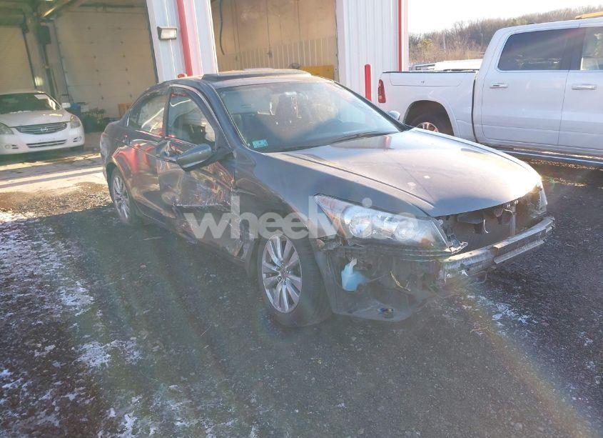 2011 Honda Accord 2.4 EX (VIN 1HGCP2F73BA036787) main photo