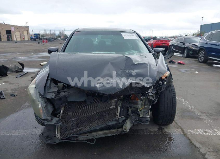 Photo 13 of 2011 Honda Accord 2.4 EX (VIN 1HGCP2F73BA095404)