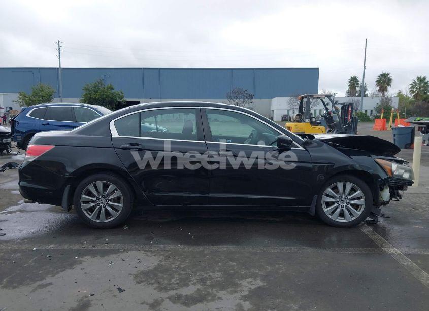 Photo 14 of 2011 Honda Accord 2.4 EX (VIN 1HGCP2F73BA095404)