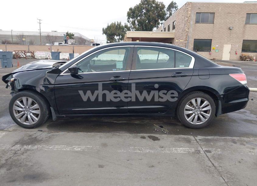 Photo 15 of 2011 Honda Accord 2.4 EX (VIN 1HGCP2F73BA095404)