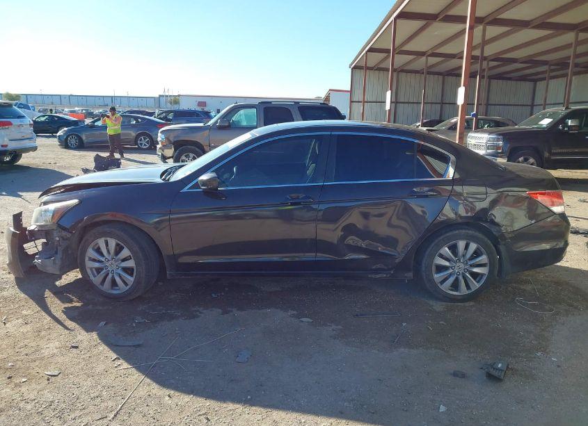 Photo 14 of 2011 Honda Accord 2.4 EX (VIN 1HGCP2F73BA113352)