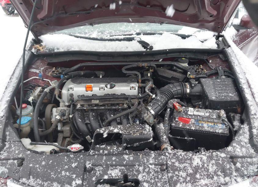 Photo 10 of 2010 Honda Accord 2.4 EX (VIN 1HGCP2F74AA000296)