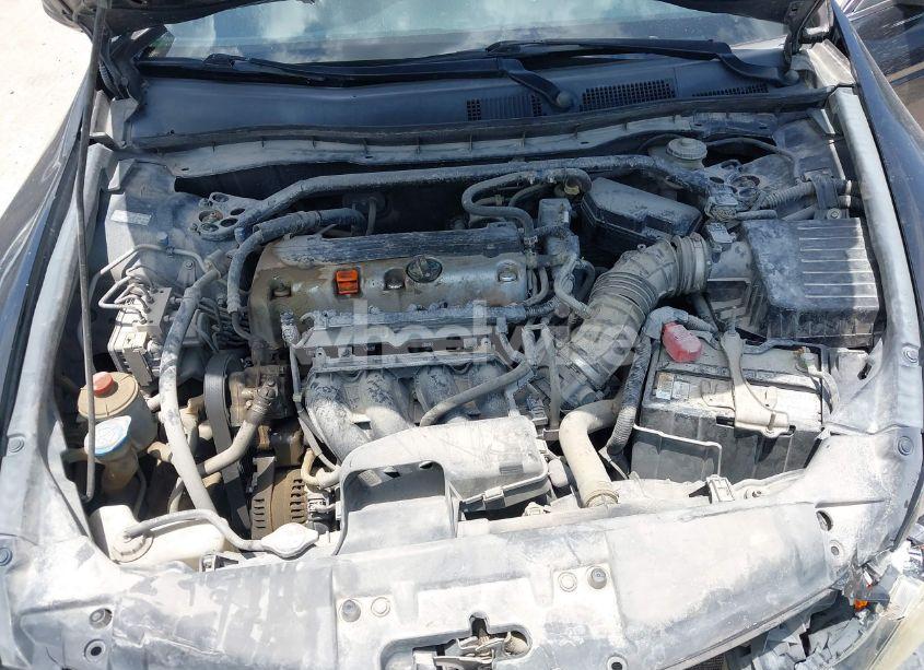 Photo 10 of 2010 Honda Accord 2.4 EX (VIN 1HGCP2F74AA021083)