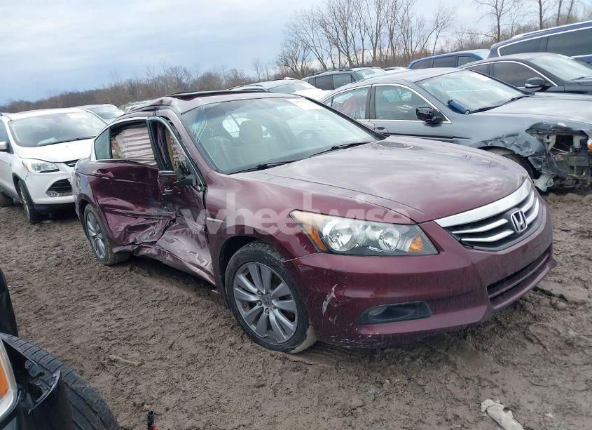 2011 Honda Accord 2.4 EX (VIN 1HGCP2F74BA088252) main photo