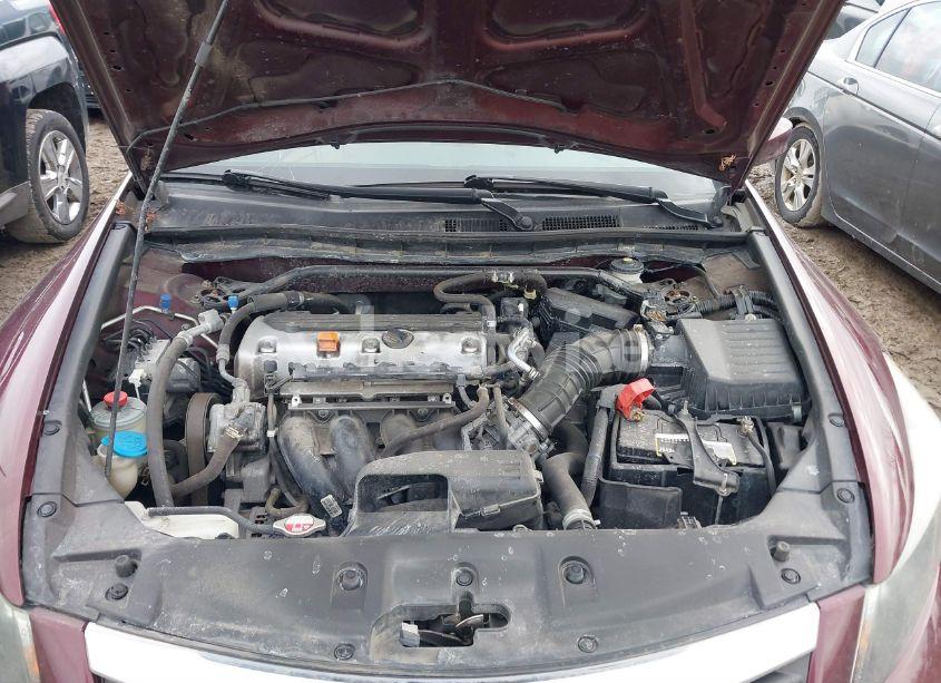Photo 10 of 2011 Honda Accord 2.4 EX (VIN 1HGCP2F74BA088252)