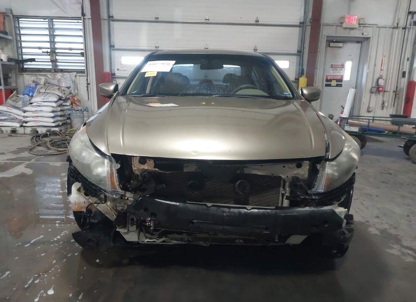 Photo 13 of 2010 Honda Accord 2.4 EX (VIN 1HGCP2F75AA007774)