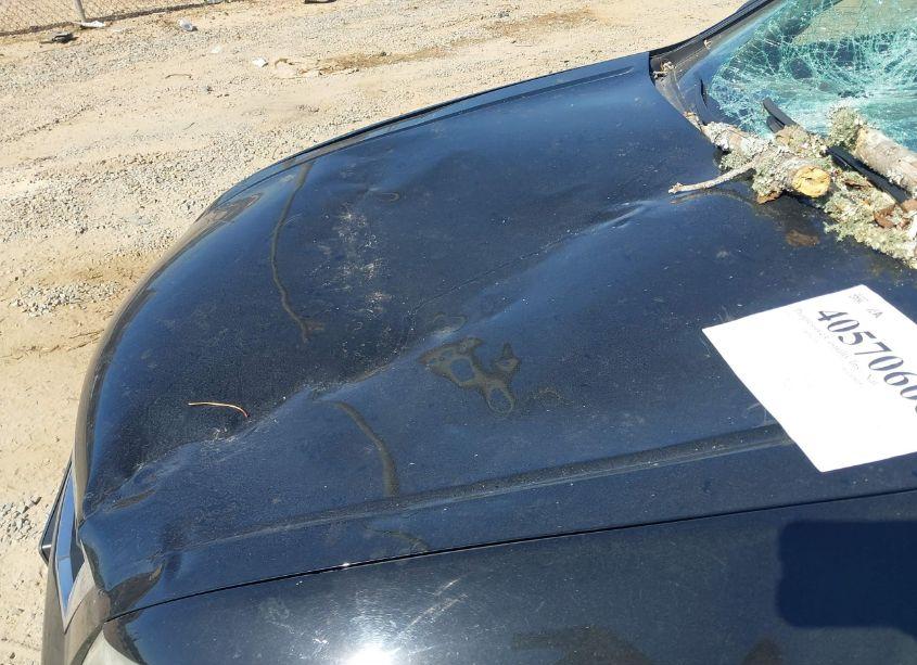 Photo 18 of 2010 Honda Accord 2.4 EX (VIN 1HGCP2F75AA073497)