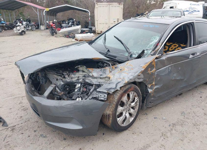 Photo 6 of 2010 Honda Accord 2.4 EX (VIN 1HGCP2F75AA142527)