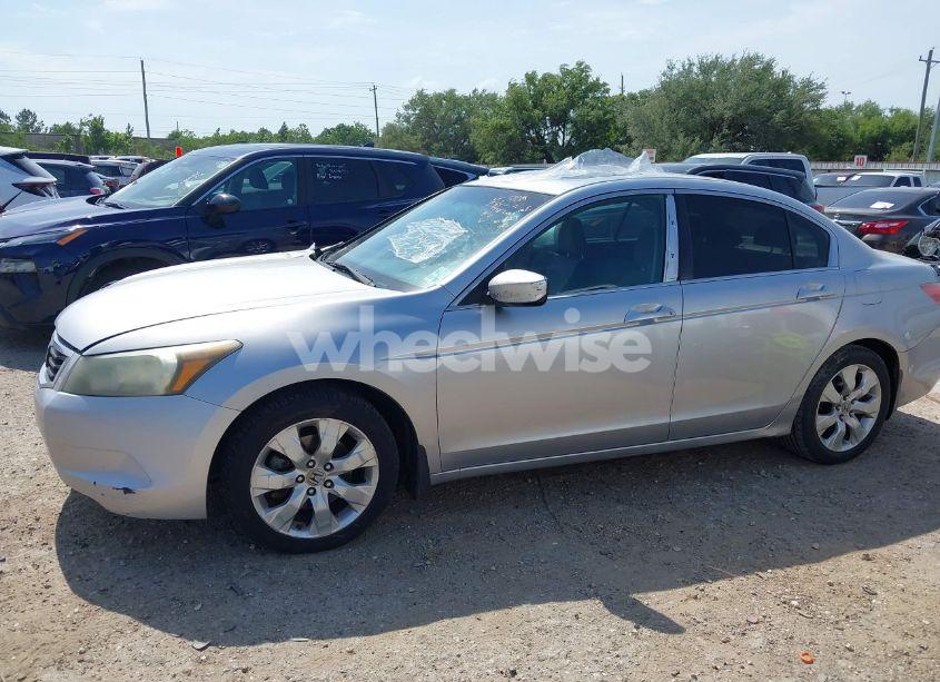Photo 14 of 2010 Honda Accord 2.4 EX (VIN 1HGCP2F75AA175527)