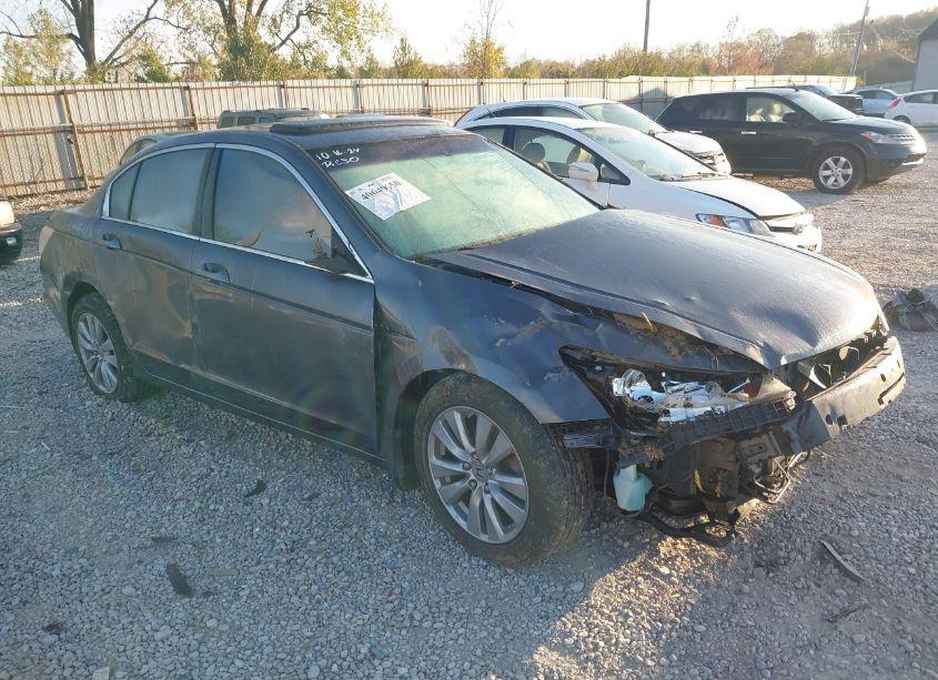 2011 Honda Accord 2.4 EX (VIN 1HGCP2F75BA063568) main photo