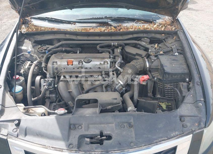 Photo 10 of 2010 Honda Accord 2.4 EX (VIN 1HGCP2F76AA010280)