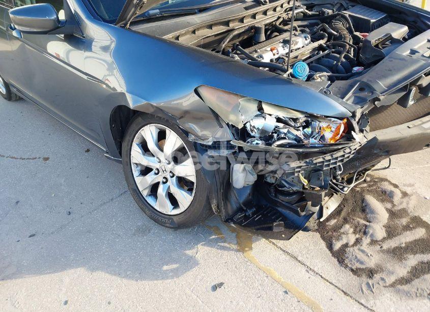 Photo 6 of 2010 Honda Accord 2.4 EX (VIN 1HGCP2F77AA130461)