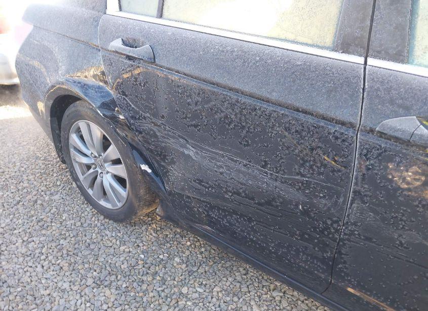 Photo 17 of 2011 Honda Accord 2.4 EX (VIN 1HGCP2F77BA069789)