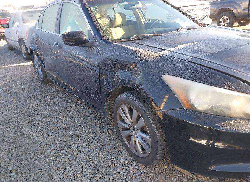 Photo 6 of 2011 Honda Accord 2.4 EX (VIN 1HGCP2F77BA069789)