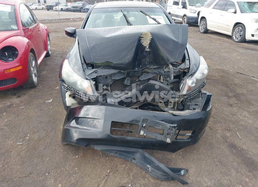Photo 12 of 2010 Honda Accord 2.4 EX (VIN 1HGCP2F78AA005906)