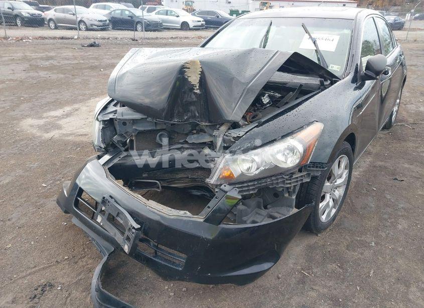 Photo 6 of 2010 Honda Accord 2.4 EX (VIN 1HGCP2F78AA005906)