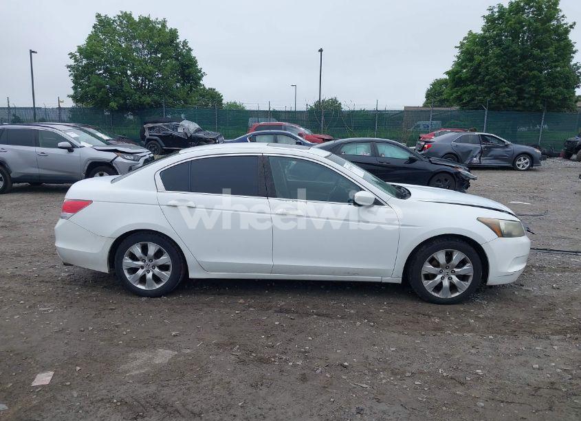 Photo 13 of 2010 Honda Accord 2.4 EX (VIN 1HGCP2F78AA178857)