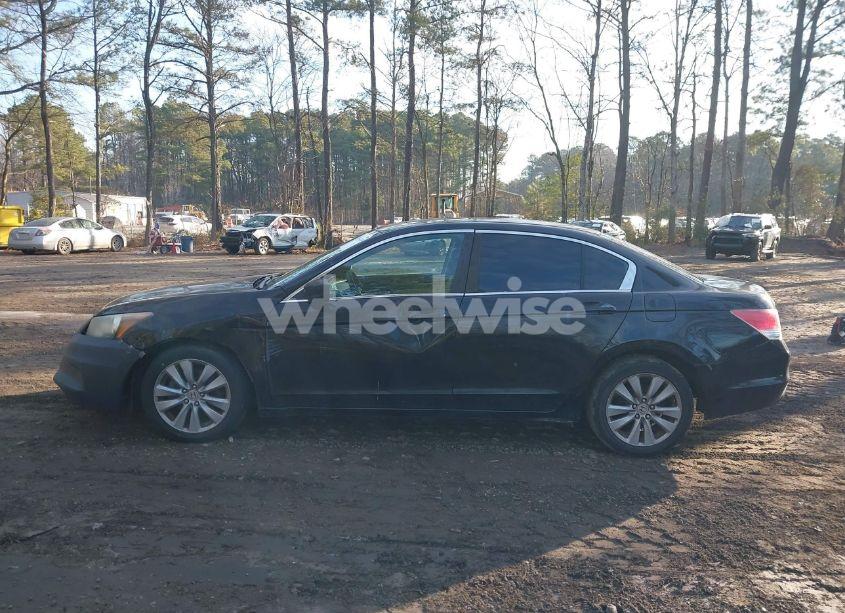 Photo 14 of 2011 Honda Accord 2.4 EX (VIN 1HGCP2F78BA074015)