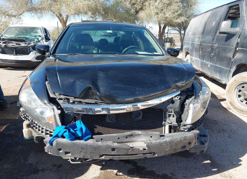 Photo 12 of 2011 Honda Accord 2.4 EX (VIN 1HGCP2F78BA154687)