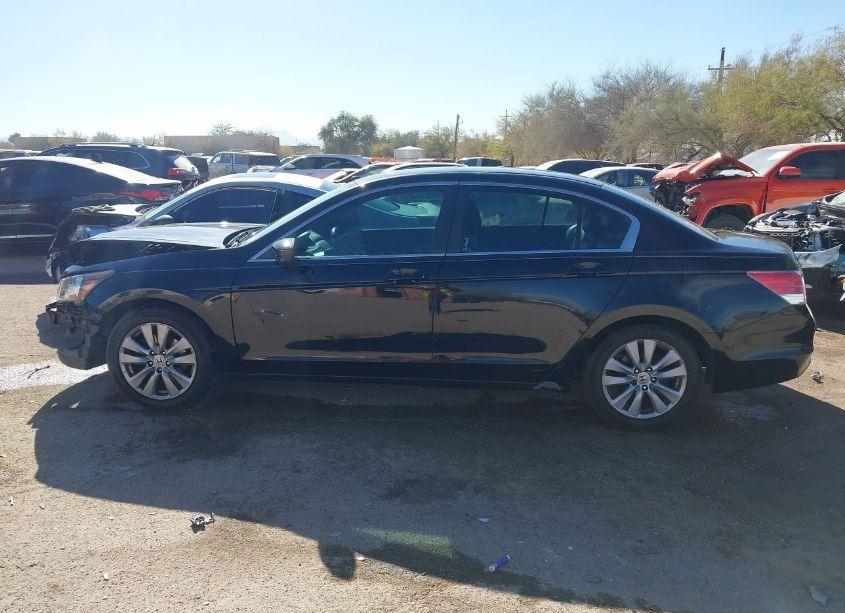 Photo 14 of 2011 Honda Accord 2.4 EX (VIN 1HGCP2F78BA154687)