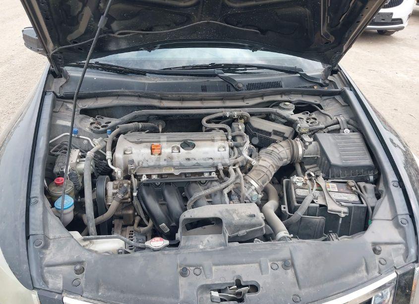 Photo 10 of 2010 Honda Accord 2.4 EX (VIN 1HGCP2F79AA016560)