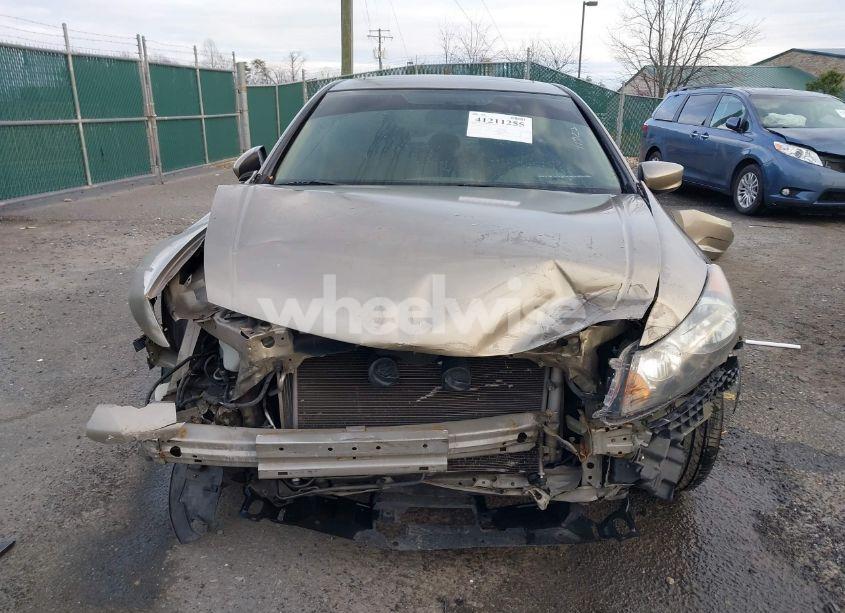 Photo 13 of 2010 Honda Accord 2.4 EX (VIN 1HGCP2F79AA033939)