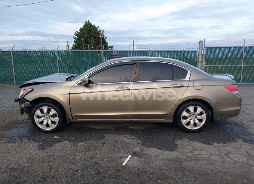 Photo 15 of 2010 Honda Accord 2.4 EX (VIN 1HGCP2F79AA033939)