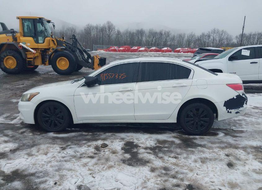 Photo 14 of 2011 Honda Accord 2.4 EX (VIN 1HGCP2F79BA065713)