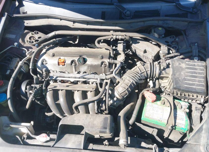 Photo 10 of 2010 Honda Accord 2.4 EX (VIN 1HGCP2F7XAA091669)