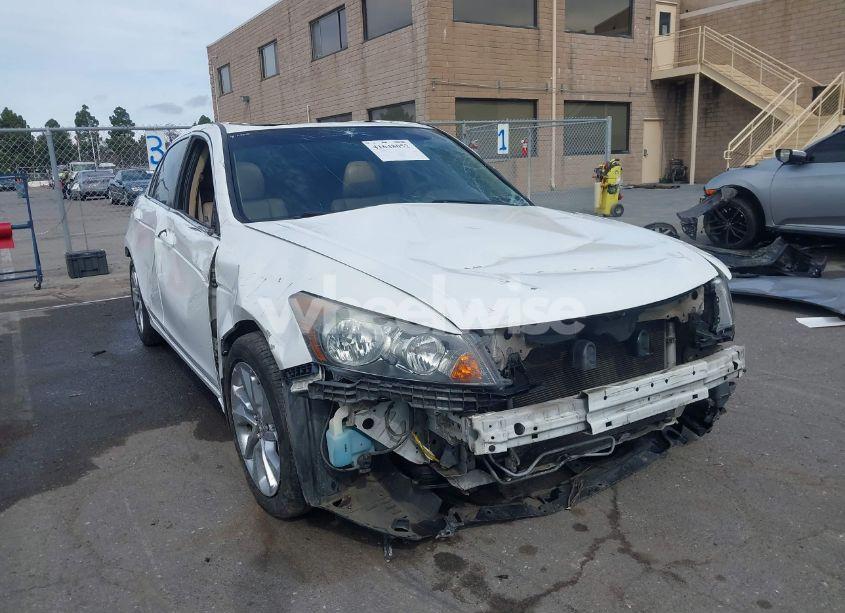 2010 Honda Accord 2.4 EX (VIN 1HGCP2F7XAA129157) main photo