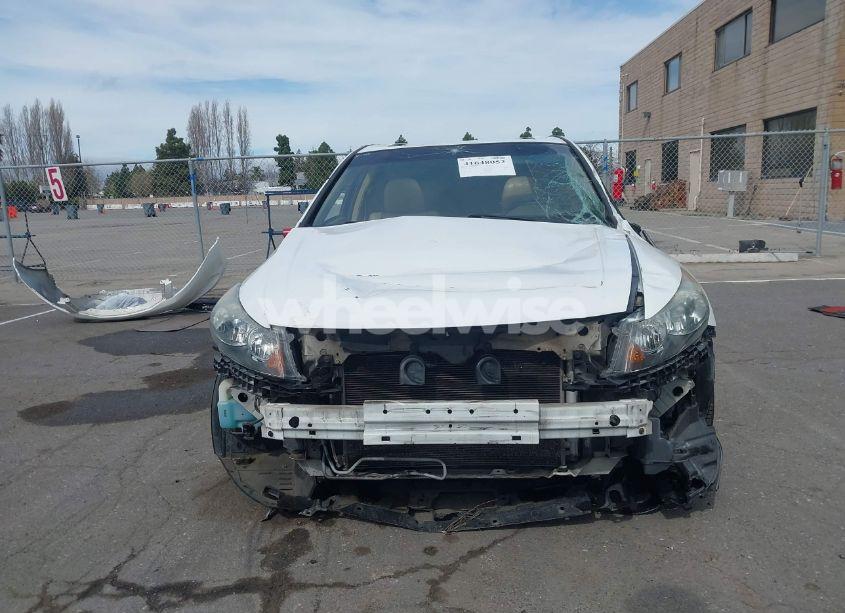 Photo 13 of 2010 Honda Accord 2.4 EX (VIN 1HGCP2F7XAA129157)