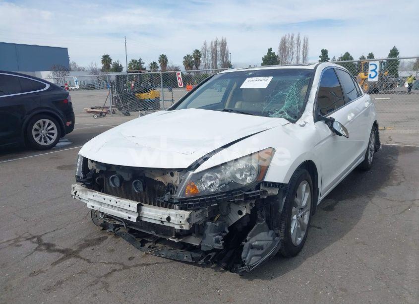 Photo 2 of 2010 Honda Accord 2.4 EX (VIN 1HGCP2F7XAA129157)