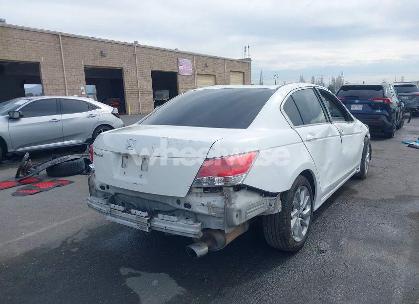 Photo 4 of 2010 Honda Accord 2.4 EX (VIN 1HGCP2F7XAA129157)
