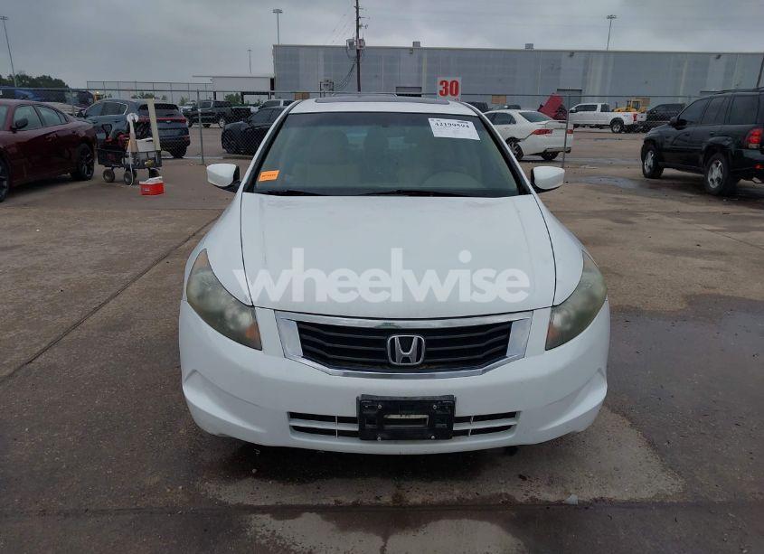 Photo 12 of 2010 Honda Accord 2.4 EX (VIN 1HGCP2F7XAA144306)