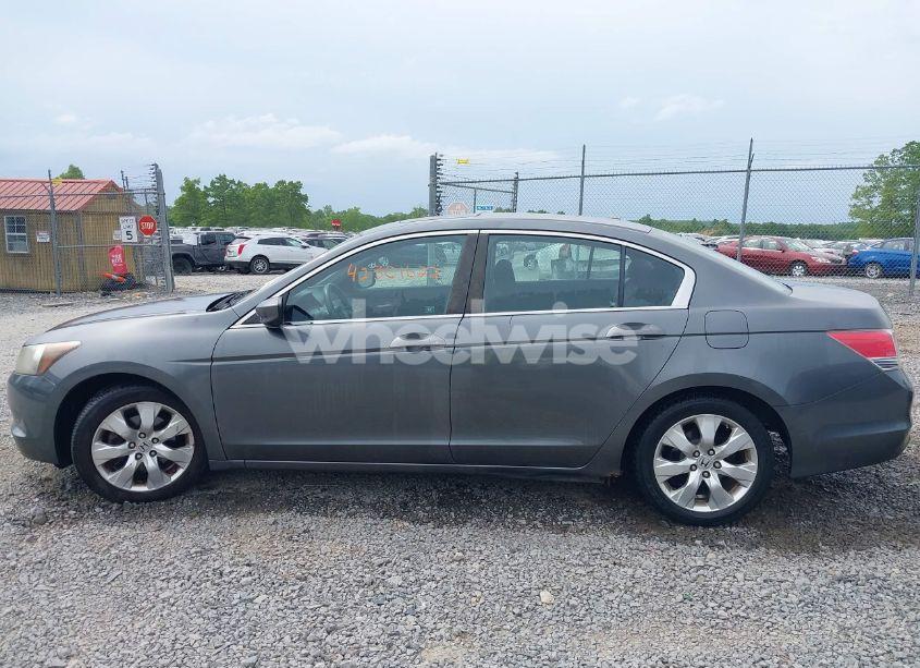 Photo 14 of 2010 Honda Accord 2.4 EX (VIN 1HGCP2F7XAA165575)