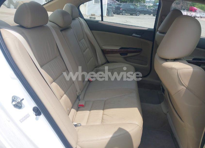 Photo 8 of 2010 Honda Accord 2.4 EX-L (VIN 1HGCP2F80AA008145)