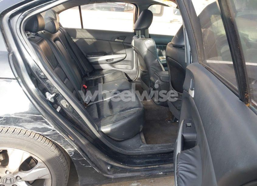 Photo 8 of 2010 Honda Accord 2.4 EX-L (VIN 1HGCP2F80AA023986)