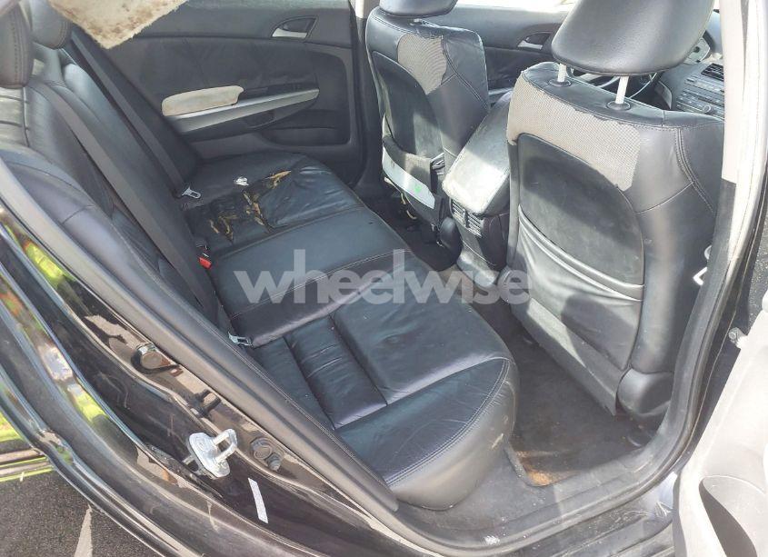 Photo 8 of 2010 Honda Accord 2.4 EX-L (VIN 1HGCP2F80AA055854)