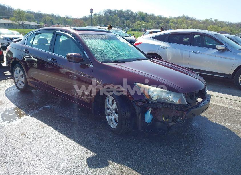 2010 Honda Accord 2.4 EX-L (VIN 1HGCP2F80AA074209) main photo